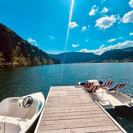 Top-of-the-range Center! Appartamento Gérardmer