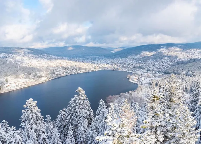 Appartement High-end Flat In The Centre Of Gérardmer