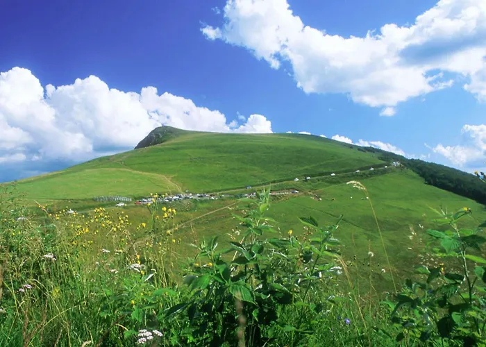 Top-of-the-range Center! Appartement